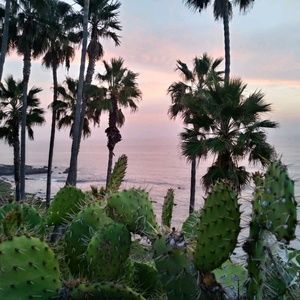 Meet your Posher, Liz